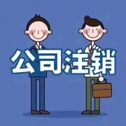 林芝地區(qū)注銷公司的流程是怎樣？ 